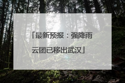 最新预报：强降雨云团已移出武汉