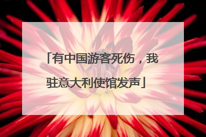 有中国游客死伤，我驻意大利使馆发声