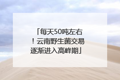 每天50吨左右！云南野生菌交易逐渐进入高峰期