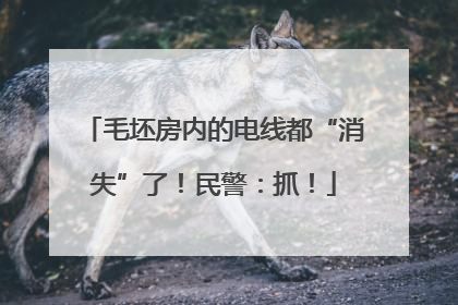 毛坯房内的电线都“消失”了！民警：抓！