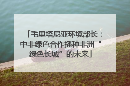 毛里塔尼亚环境部长：中非绿色合作播种非洲“绿色长城”的未来