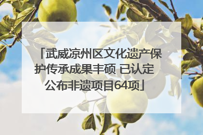 武威凉州区文化遗产保护传承成果丰硕 已认定公布非遗项目64项