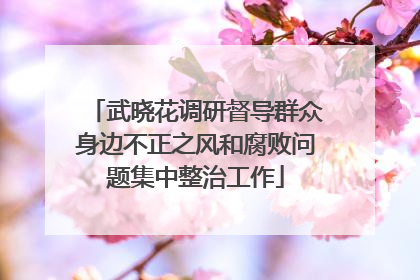 武晓花调研督导群众身边不正之风和腐败问题集中整治工作