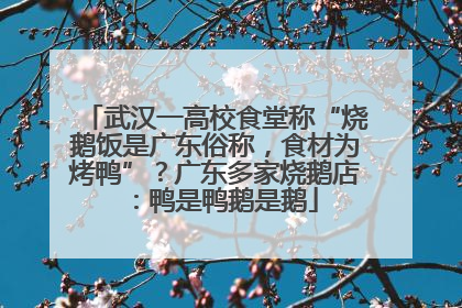 武汉一高校食堂称“烧鹅饭是广东俗称，食材为烤鸭”？广东多家烧鹅店：鸭是鸭鹅是鹅