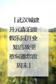 武汉城建开元森泊度假乐园开业 知音故里蔡甸邀您度周末