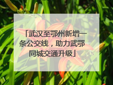 武汉至鄂州新增一条公交线，助力武鄂同城交通升级