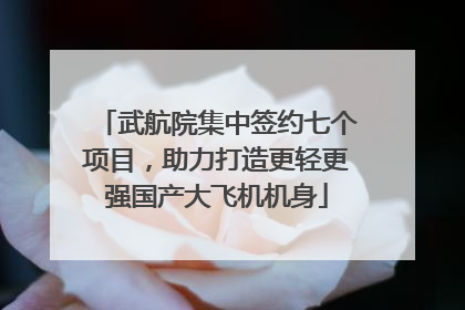 武航院集中签约七个项目，助力打造更轻更强国产大飞机机身