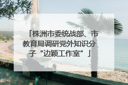 株洲市委统战部、市教育局调研党外知识分子“边颖工作室”
