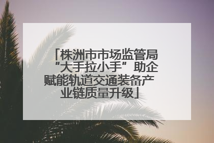 株洲市市场监管局“大手拉小手”助企赋能轨道交通装备产业链质量升级