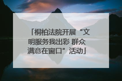 桐柏法院开展“文明服务我出彩 群众满意在窗口”活动