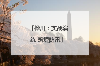 桦川：实战演练 筑堤防汛