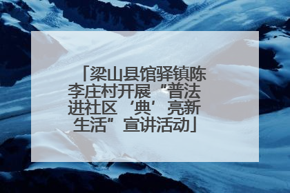 梁山县馆驿镇陈李庄村开展“普法进社区‘典’亮新生活”宣讲活动