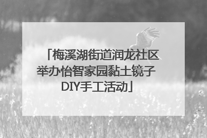 梅溪湖街道润龙社区举办怡智家园黏土镜子DIY手工活动