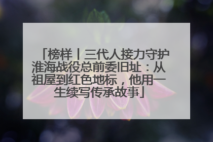 榜样丨三代人接力守护淮海战役总前委旧址：从祖屋到红色地标，他用一生续写传承故事