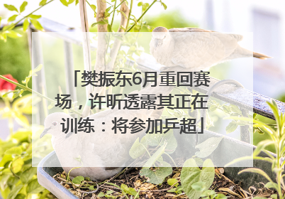樊振东6月重回赛场，许昕透露其正在训练：将参加乒超