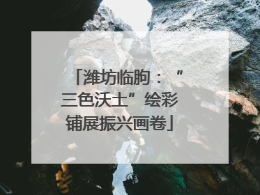 潍坊临朐：“三色沃土”绘彩铺展振兴画卷