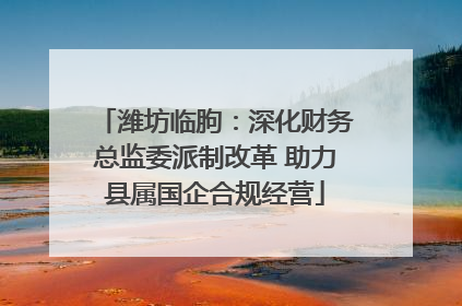 潍坊临朐：深化财务总监委派制改革 助力县属国企合规经营