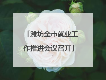 潍坊全市就业工作推进会议召开