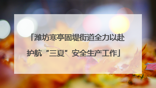 潍坊寒亭固堤街道全力以赴护航“三夏”安全生产工作