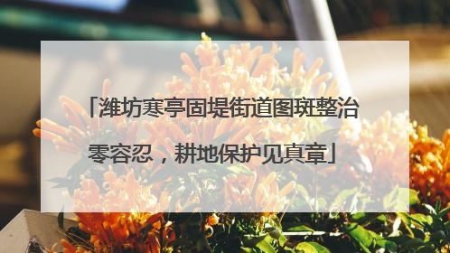潍坊寒亭固堤街道图斑整治零容忍，耕地保护见真章