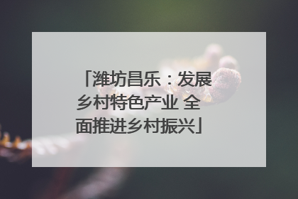 潍坊昌乐：发展乡村特色产业 全面推进乡村振兴