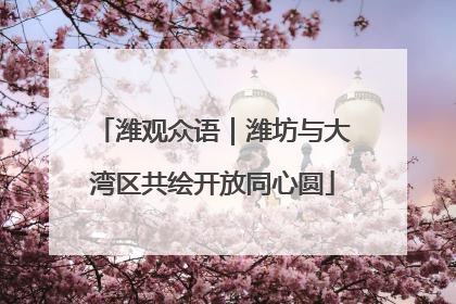 潍观众语｜潍坊与大湾区共绘开放同心圆