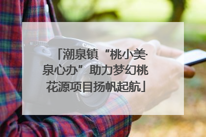 潮泉镇“桃小美·泉心办”助力梦幻桃花源项目扬帆起航