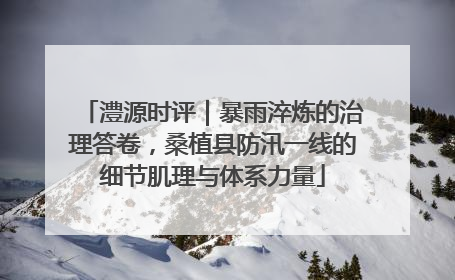 澧源时评｜暴雨淬炼的治理答卷，桑植县防汛一线的细节肌理与体系力量