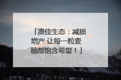澳佳生态：减损增产 让每一粒麦穗都饱含希望！