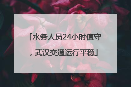 水务人员24小时值守，武汉交通运行平稳
