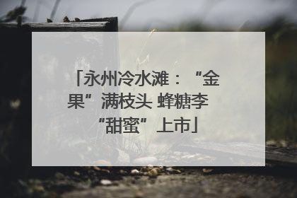 永州冷水滩：“金果”满枝头 蜂糖李“甜蜜”上市