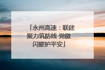 永州高速：联建聚力筑防线 党徽闪耀护平安