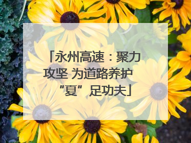 永州高速：聚力攻坚 为道路养护“夏”足功夫