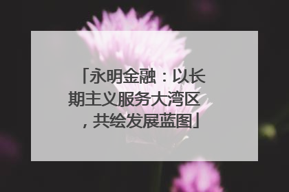 永明金融：以长期主义服务大湾区，共绘发展蓝图