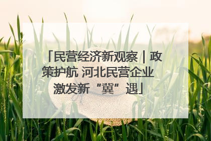 民营经济新观察｜政策护航 河北民营企业激发新“冀”遇