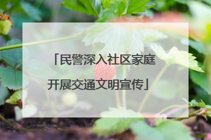 民警深入社区家庭开展交通文明宣传