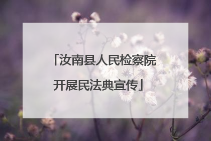 汝南县人民检察院开展民法典宣传