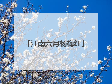 江南六月杨梅红
