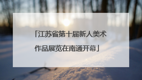 江苏省第十届新人美术作品展览在南通开幕