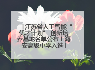 江苏省人工智能“优才计划” 创新培养基地名单公布！海安高级中学入选