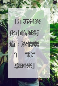 江苏省兴化市临城街道：浓情端午 “粽”享时光
