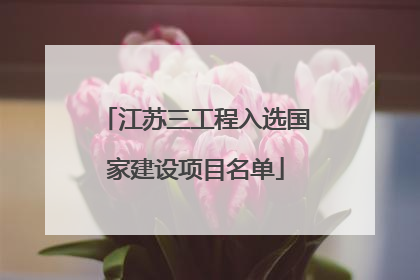 江苏三工程入选国家建设项目名单