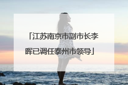 江苏南京市副市长李晖已调任泰州市领导