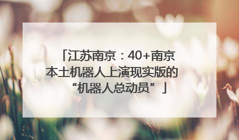江苏南京：40+南京本土机器人上演现实版的“机器人总动员”