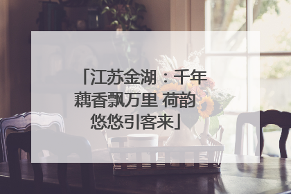江苏金湖：千年藕香飘万里 荷韵悠悠引客来