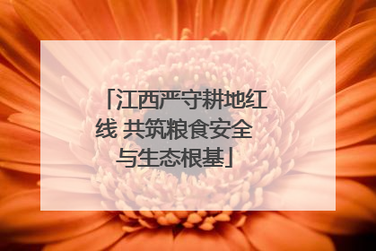 江西严守耕地红线 共筑粮食安全与生态根基