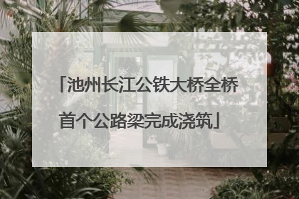 池州长江公铁大桥全桥首个公路梁完成浇筑