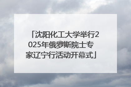 沈阳化工大学举行2025年俄罗斯院士专家辽宁行活动开幕式