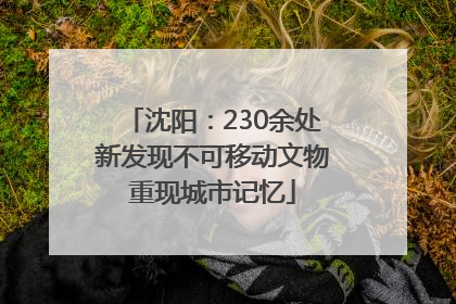 沈阳：230余处新发现不可移动文物重现城市记忆