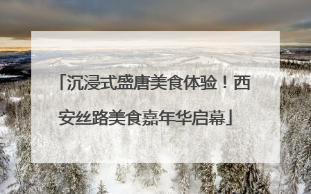 沉浸式盛唐美食体验！西安丝路美食嘉年华启幕